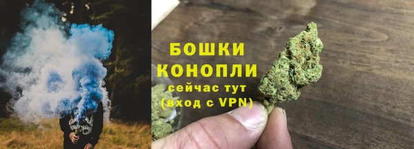 тгк Новозыбков
