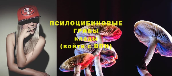 соль ск Новодвинск