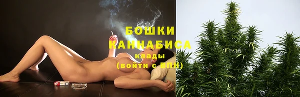 соль ск Новодвинск