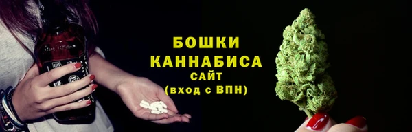 ПСИЛОЦИБИНОВЫЕ ГРИБЫ Заречный