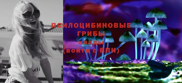 дмт Зарайск