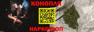 прущие крисы Бийск