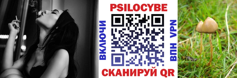 Галлюциногенные грибы GOLDEN TEACHER  Кимовск 