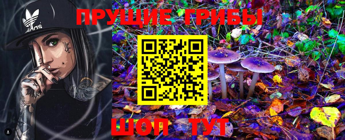 Галлюциногенные грибы GOLDEN TEACHER  Псилоцибиновые грибы ЛСД  Кимовск  Вход с VPN 
