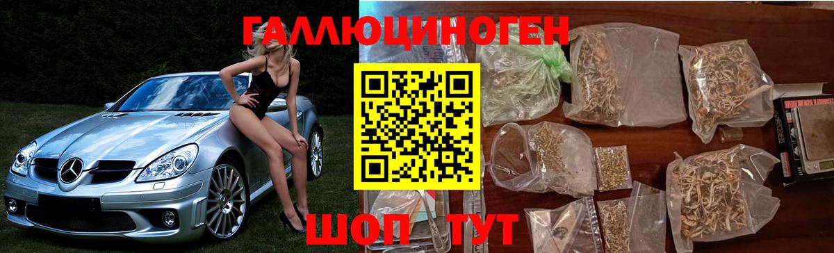 Галлюциногенные грибы прущие грибы Кимовск