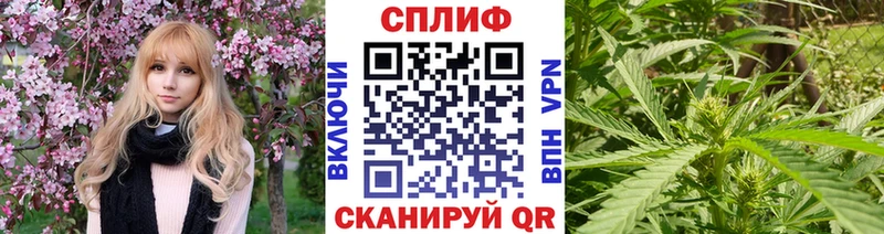 Бошки марихуана сатива сайты даркнета какой сайт Кимовск
